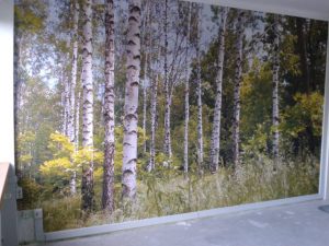 phoca_thumb_l_fototapeta